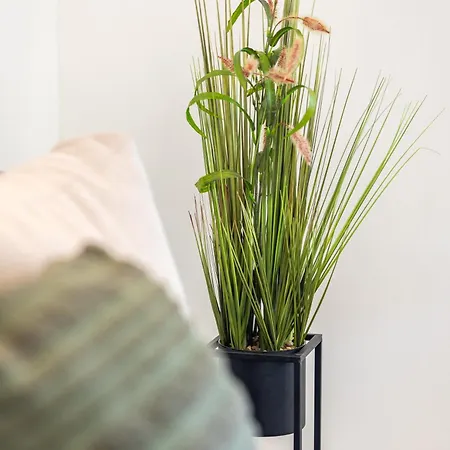 Romantic View * ספליט