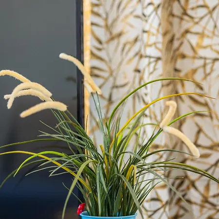 Romantic View Appartement